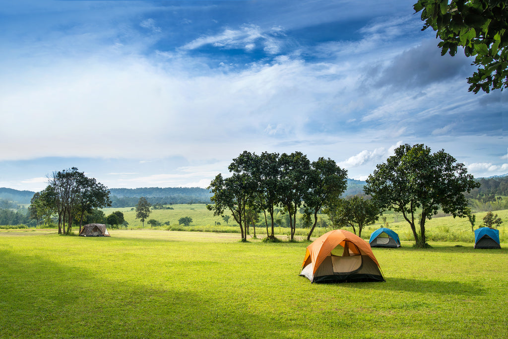 7 Tips for a Perfect Picnic Experience